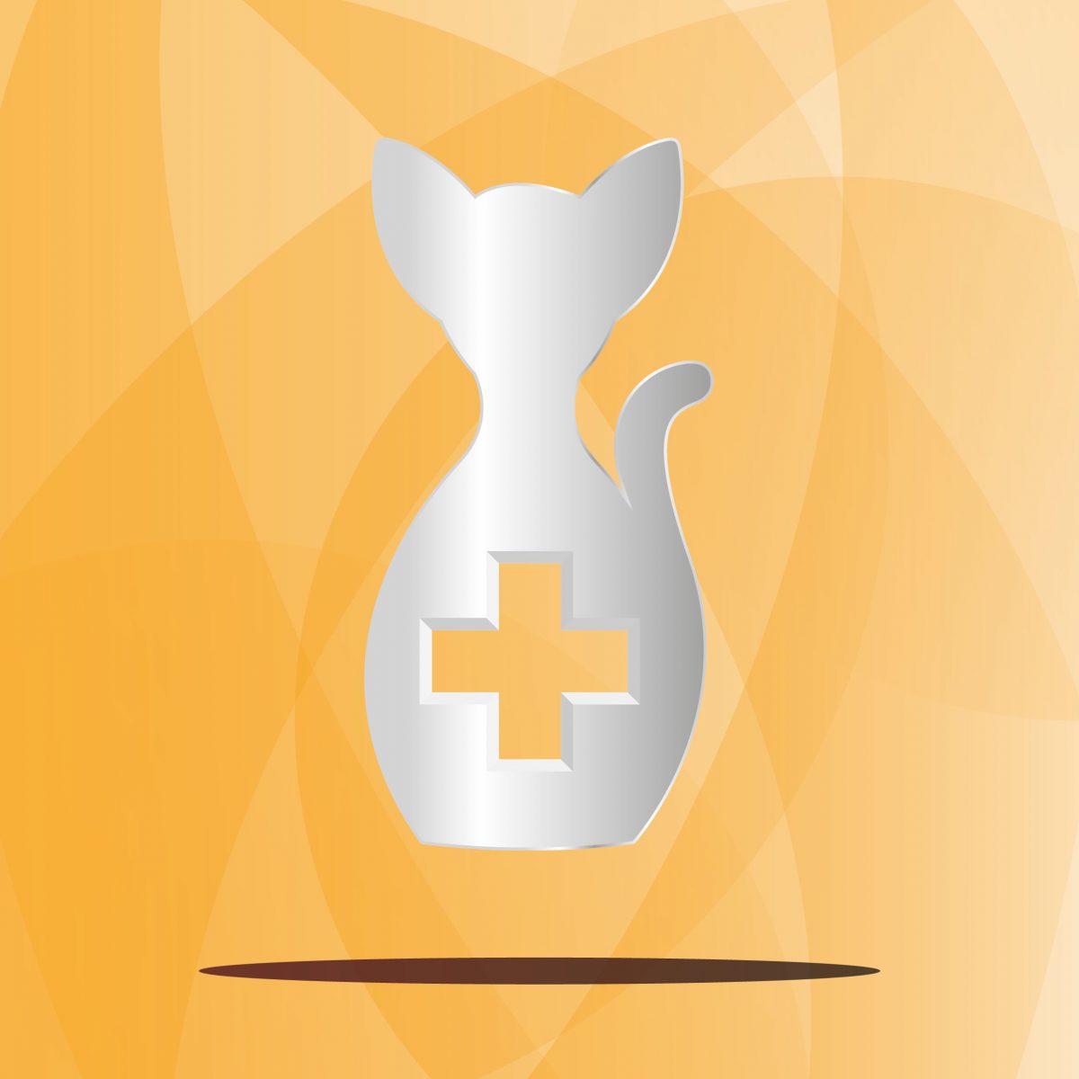 איך להביא חתול לווטרינר עם מינימום מאבק?